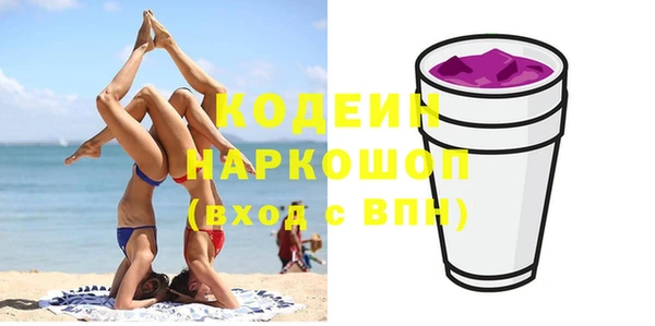 гашик Майский