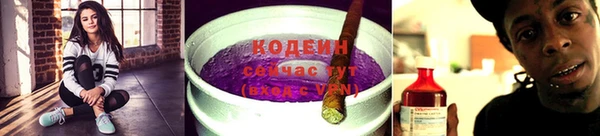 гашик Майский