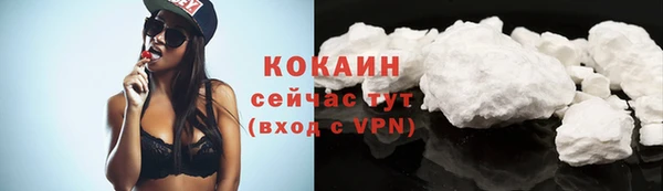 гашик Майский