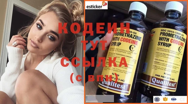 гашик Майский