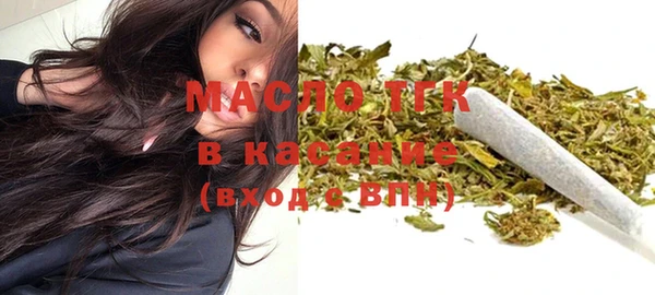 гашик Майский