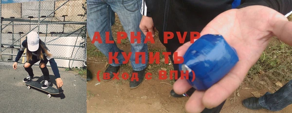 гашик Майский