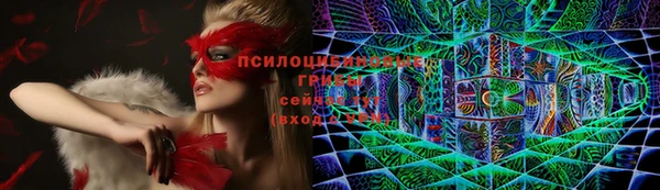 spice Ачинск