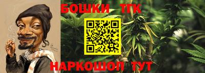твердый Гусев
