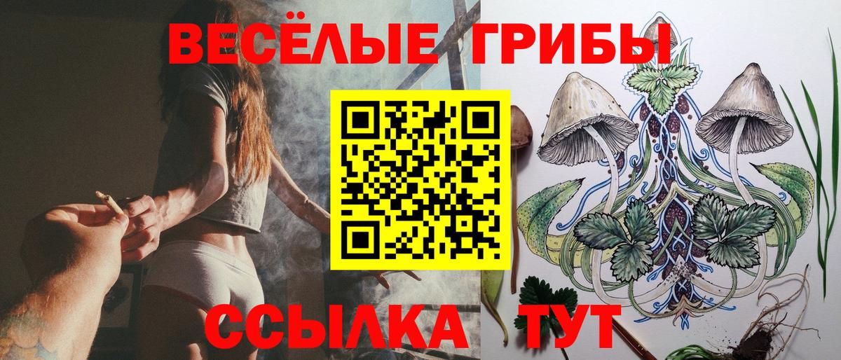 Галлюциногенные грибы Psilocybe  Вход с VPN  Рассказово  Галлюциногенные грибы Cubensis 